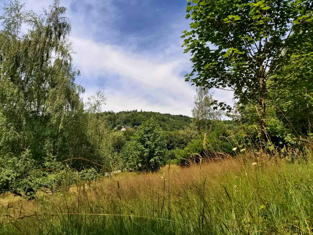 Lawendowy Dom krajobraz