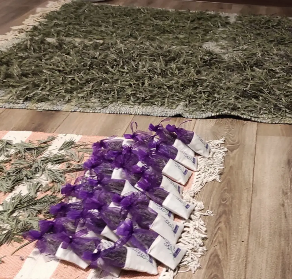 Lawendowy Dom lawenda suszenie