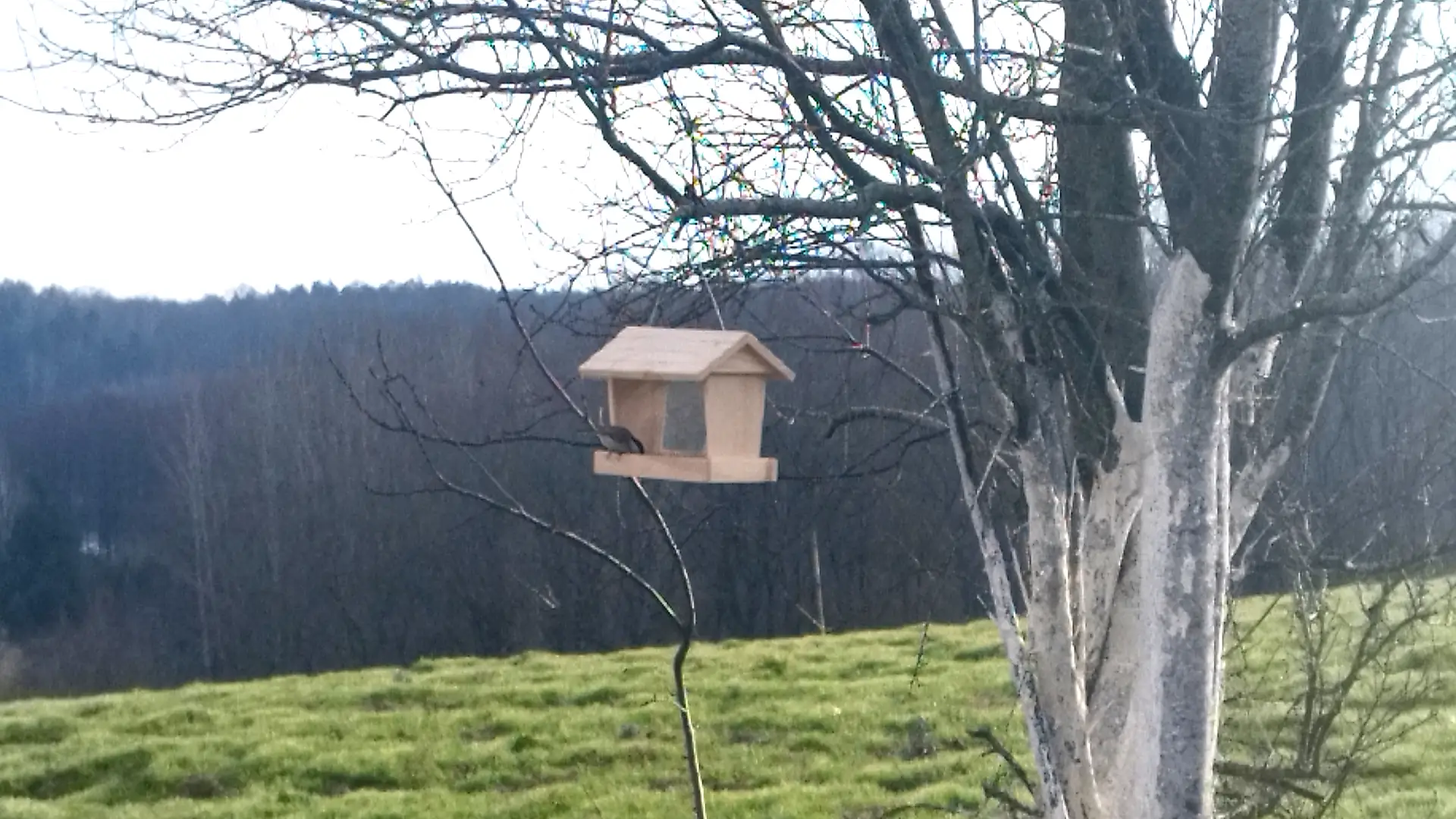 LawendowyDom zima (4)